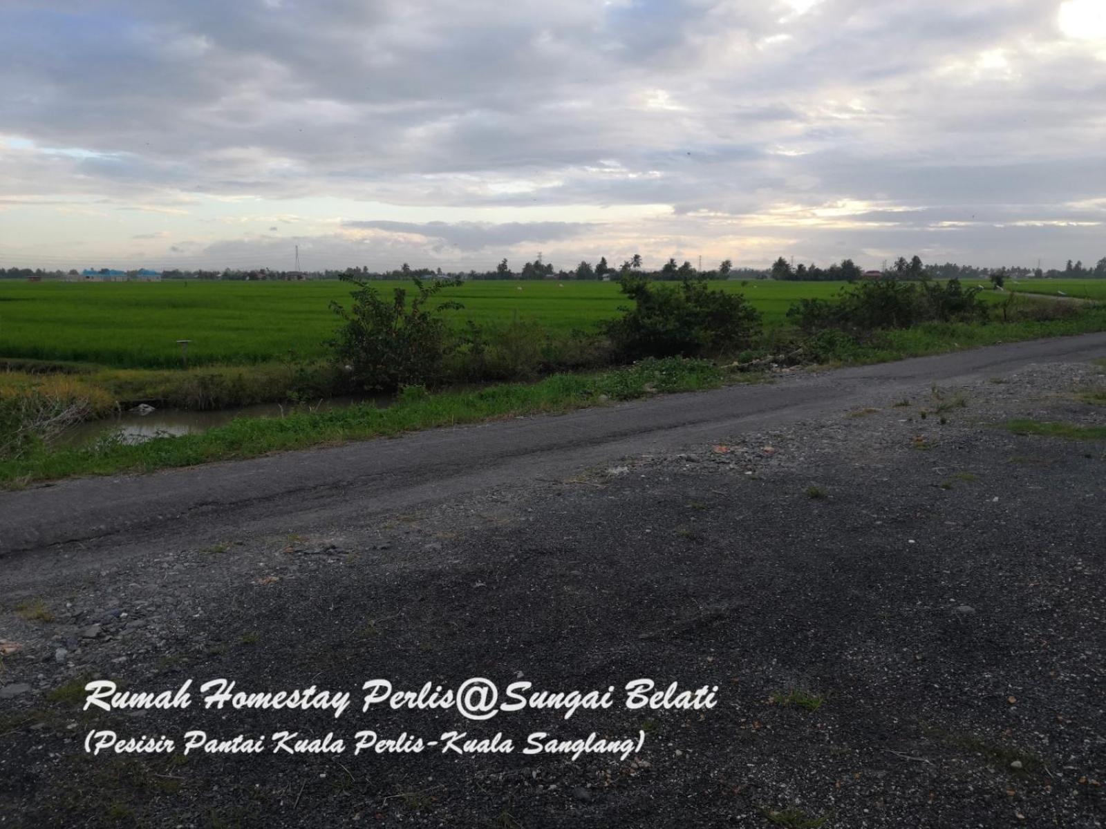 Rhumah Sungai Belati Villa Simpang Empat  Eksteriør bilde